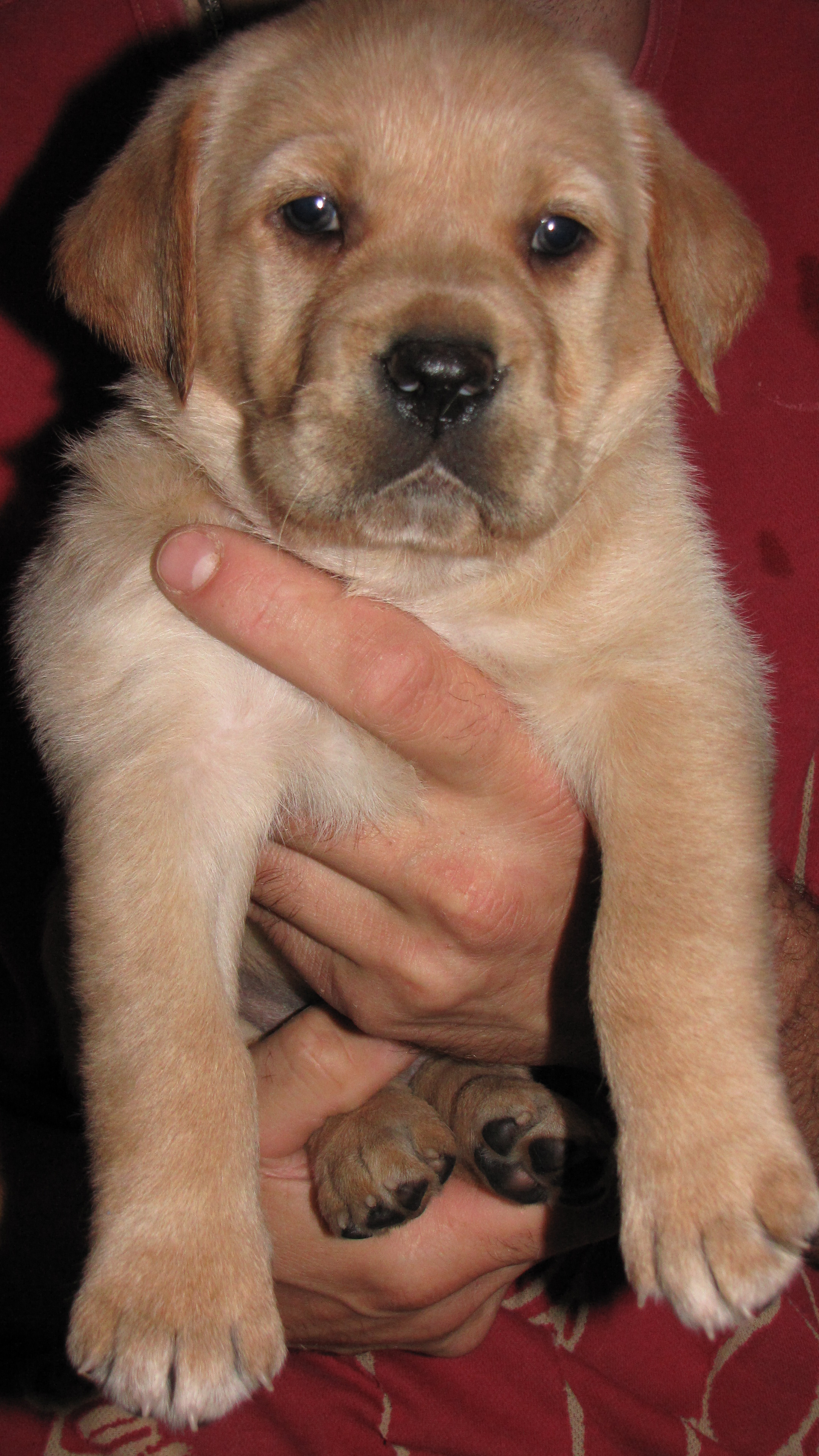 18.7.2009 016.jpg