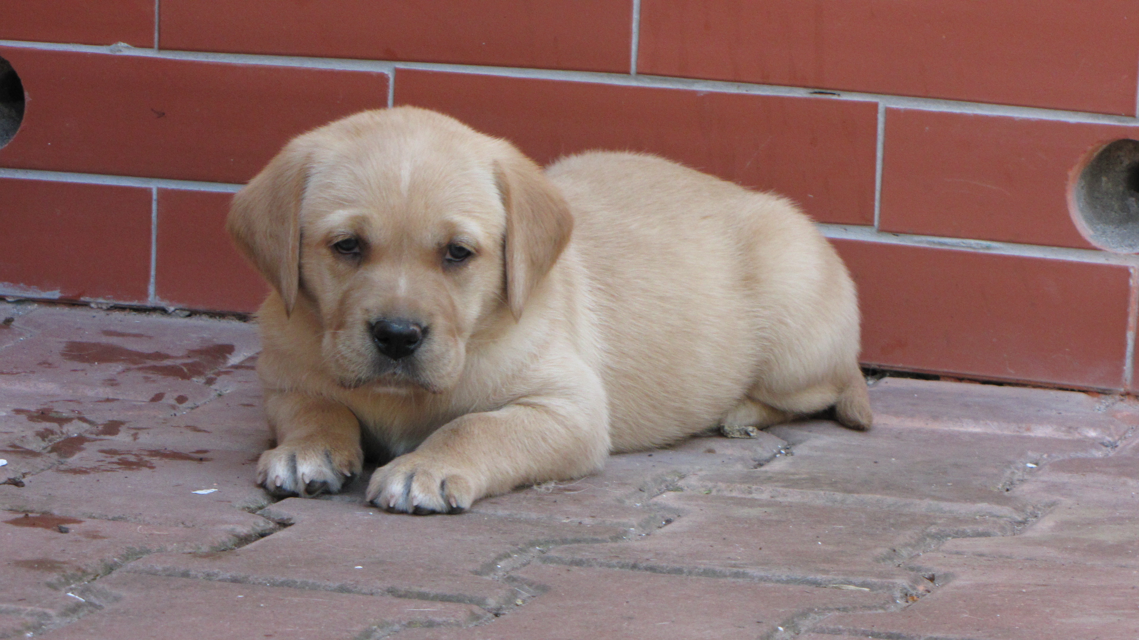 23.7.2009 001.jpg